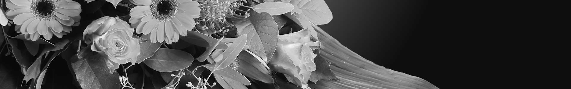 Funeral Plans in Carlisle, Longtown, and Annan